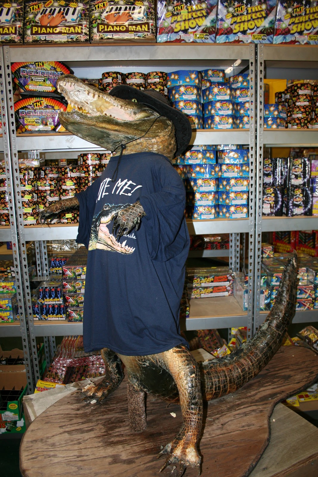 The Carpetbagger Some of My Favorite Taxidermy