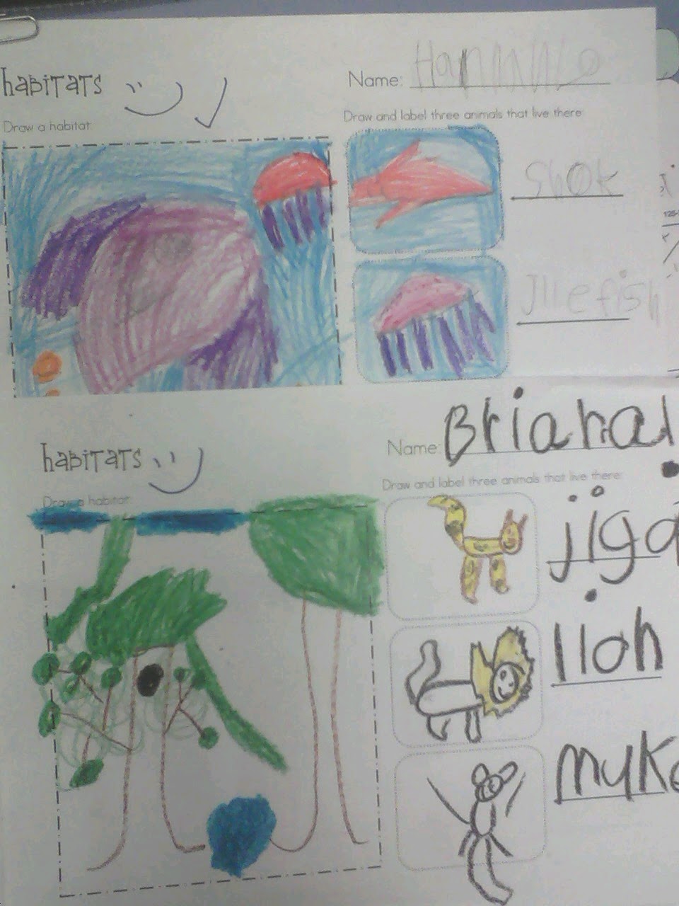 Miss. Llewellyn's Kindergarten: Animal Habitats