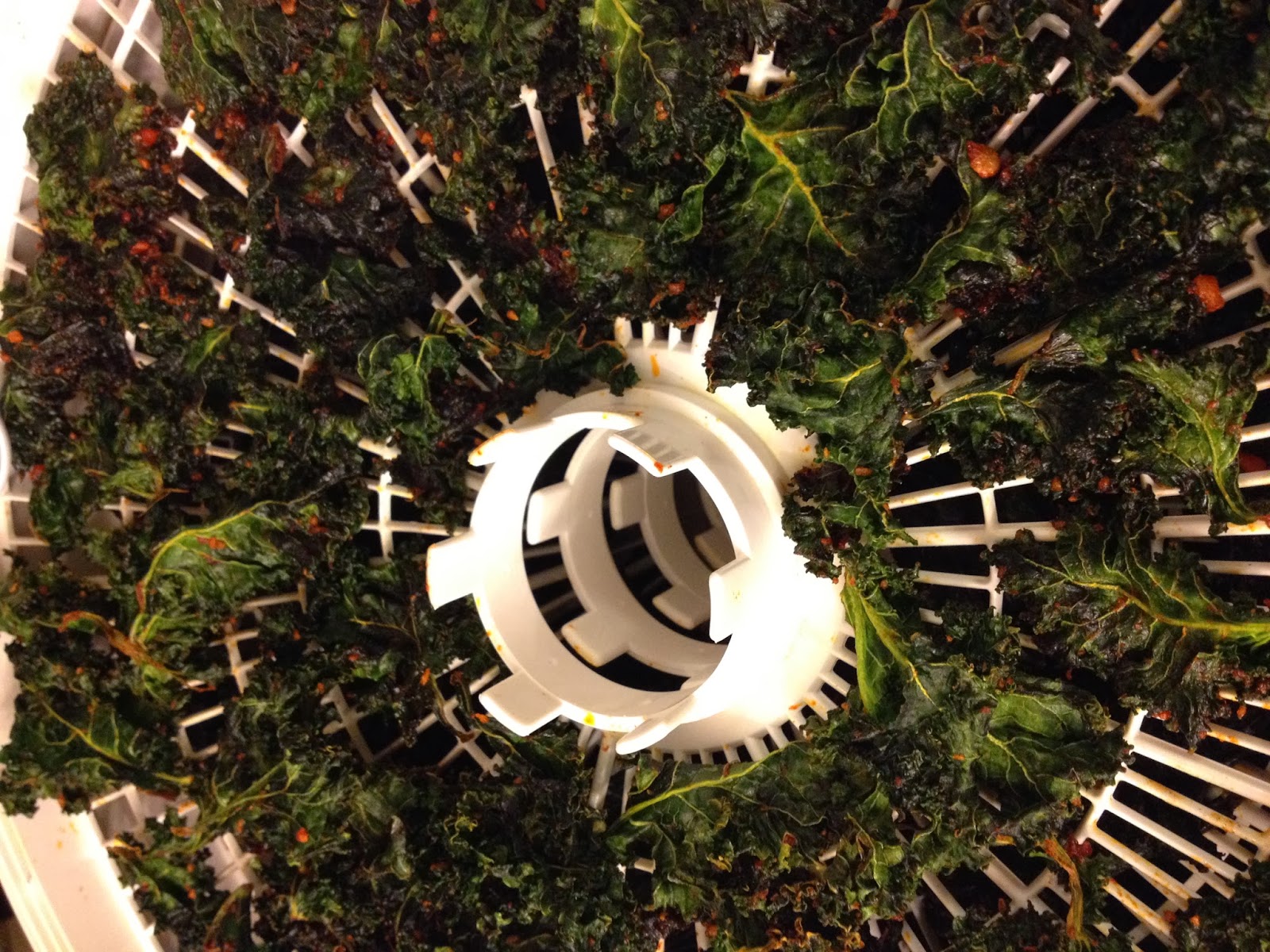 Feeding Ger Sasser Smoked Paprika Kale Chips