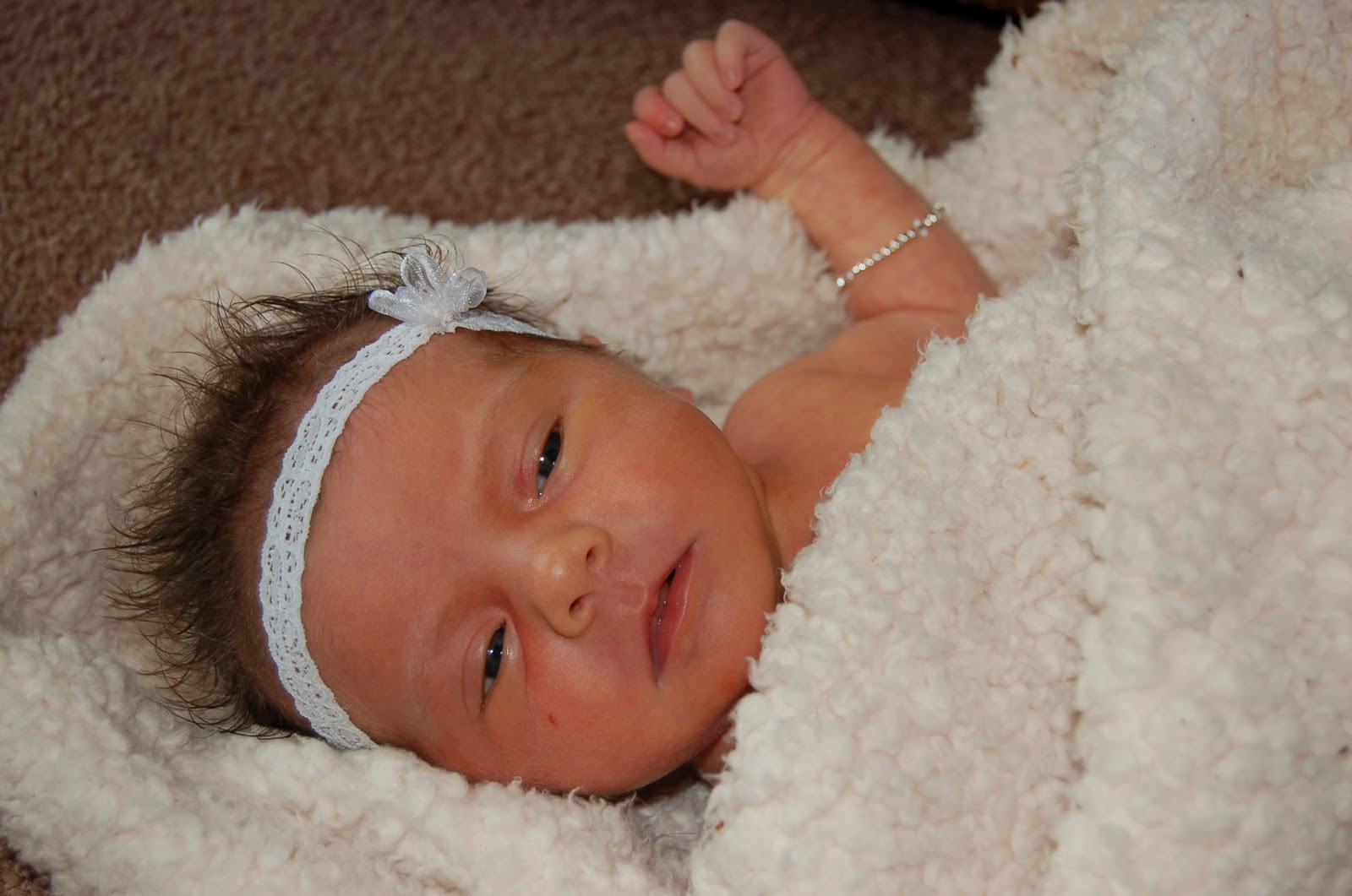 The Hebbs Poppy KAI Hebb