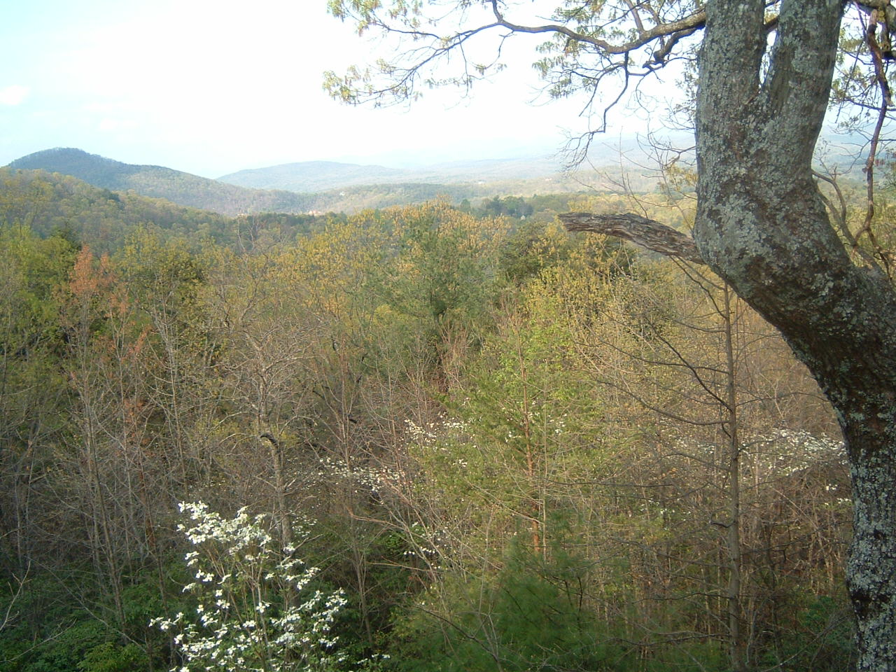 Clarke Family History 30th Anniversary of Bunting Road House