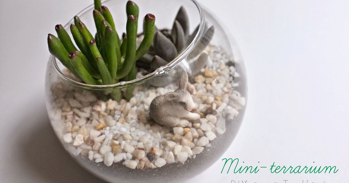 julie ♥ adore DIY MiniTerrarium