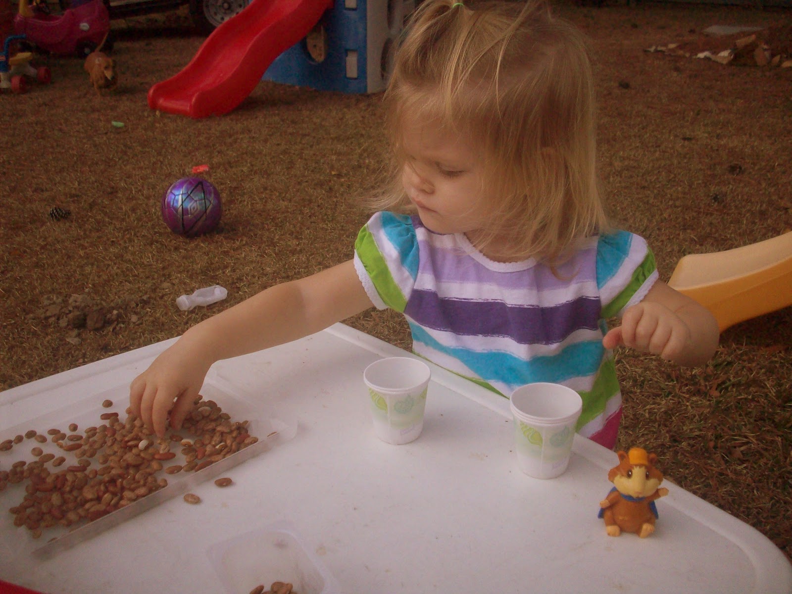 HopeAbound Kids Activities Dry Beans