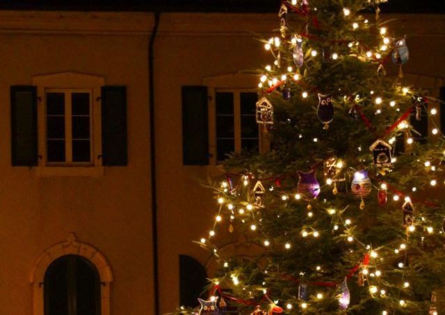 my rose valley the christmas tree tradition my rose valley the christmas tree tradition
