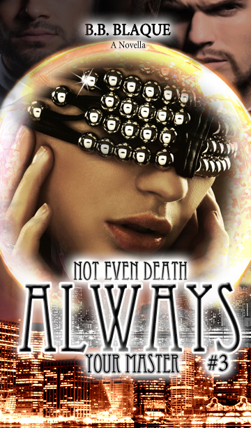 https://www.smashwords.com/books/view/514618