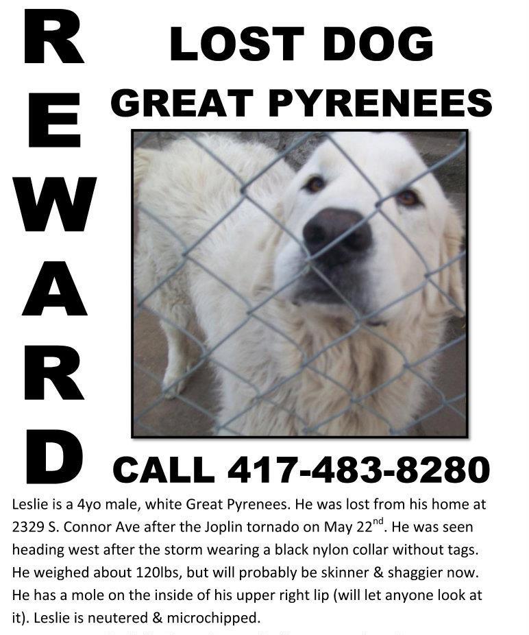 Are Great Pyrenees Dumb