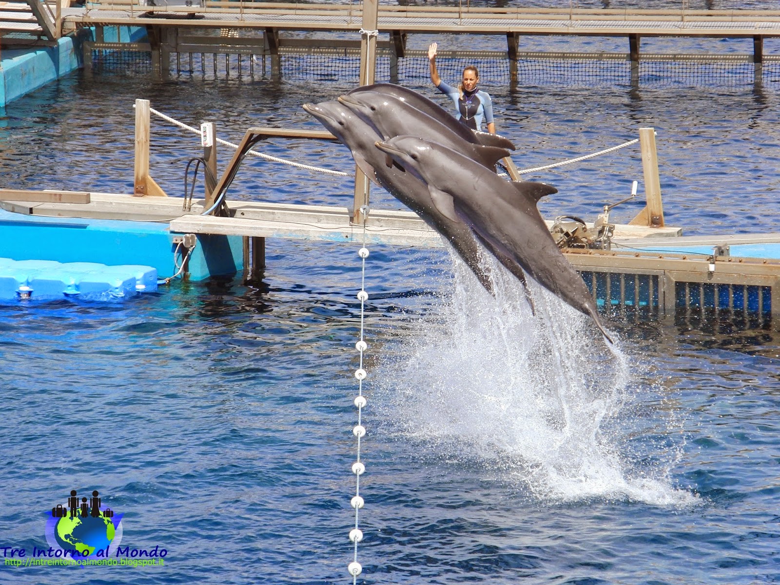 Parco Oceanico