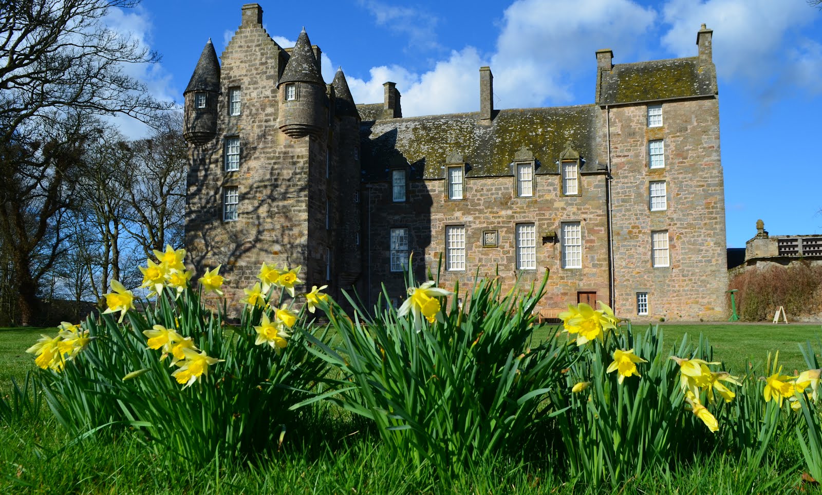 Tour Scotland Photographs Tour Scotland Photographs Daffodils Kellie