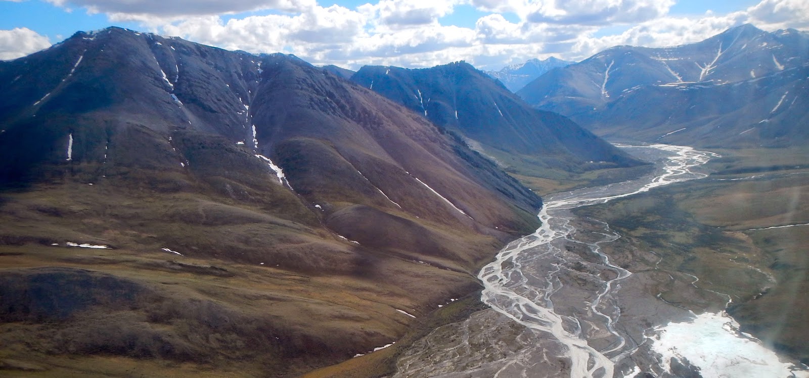 essay arctic national wildlife refuge essay arctic national wildlife refuge