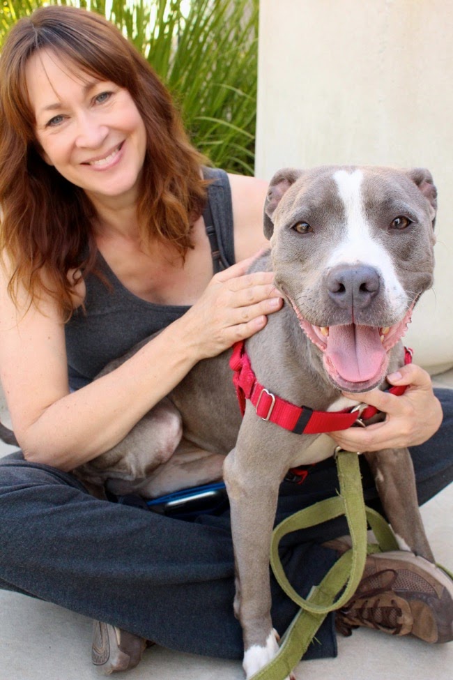 A New Chapter | Raise Your Paw Blog