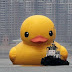 Rubber Duck Raksasa Rusak di Hongkong