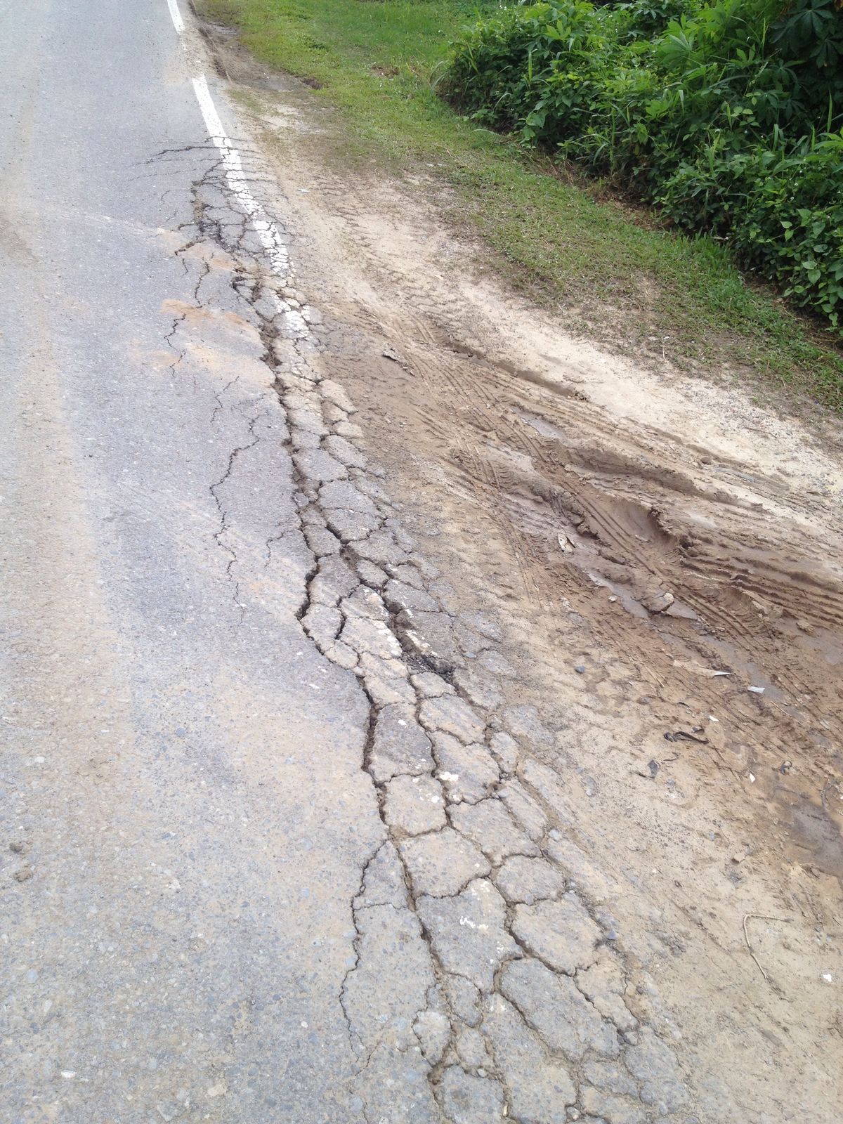 View Lori Rosak In English PNG