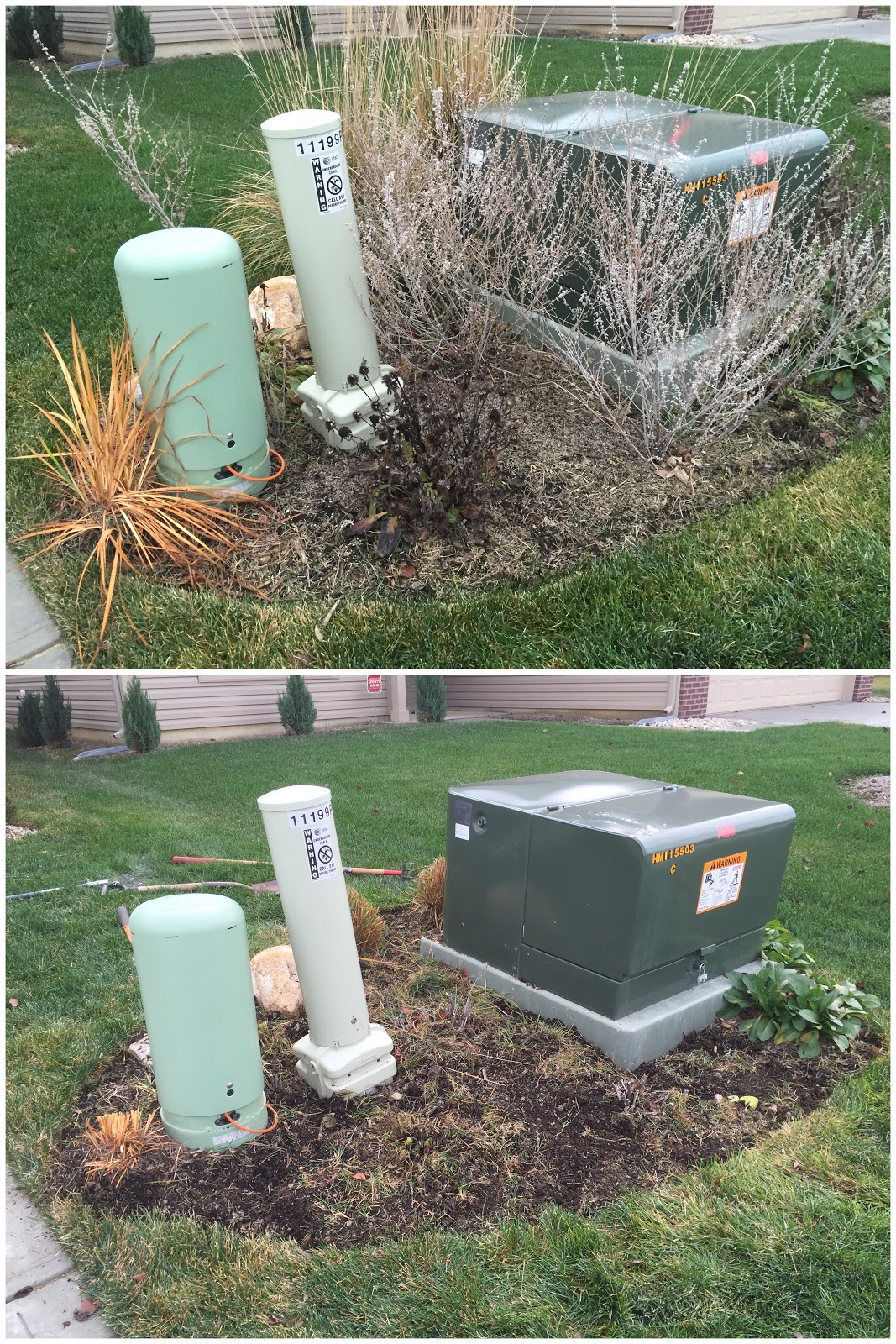 Trying to Stay Green During December Heat Wave [Backyard Neophyte