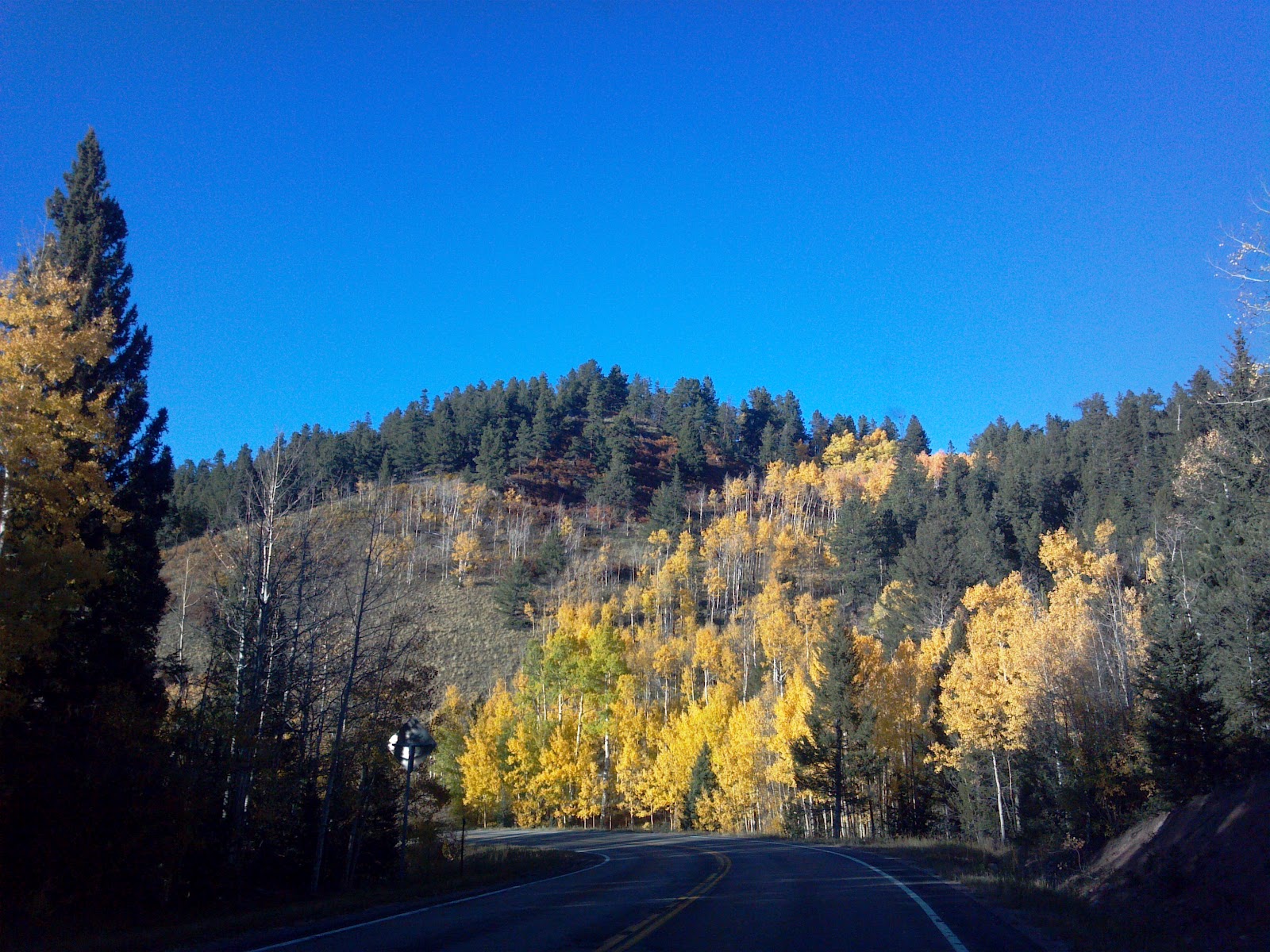 San Isabel Fall 2012 Photo Tour (Aspen, Colorado City homes, live