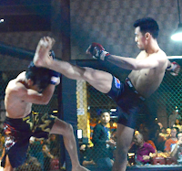 Mario Satya Wirawan One Championship