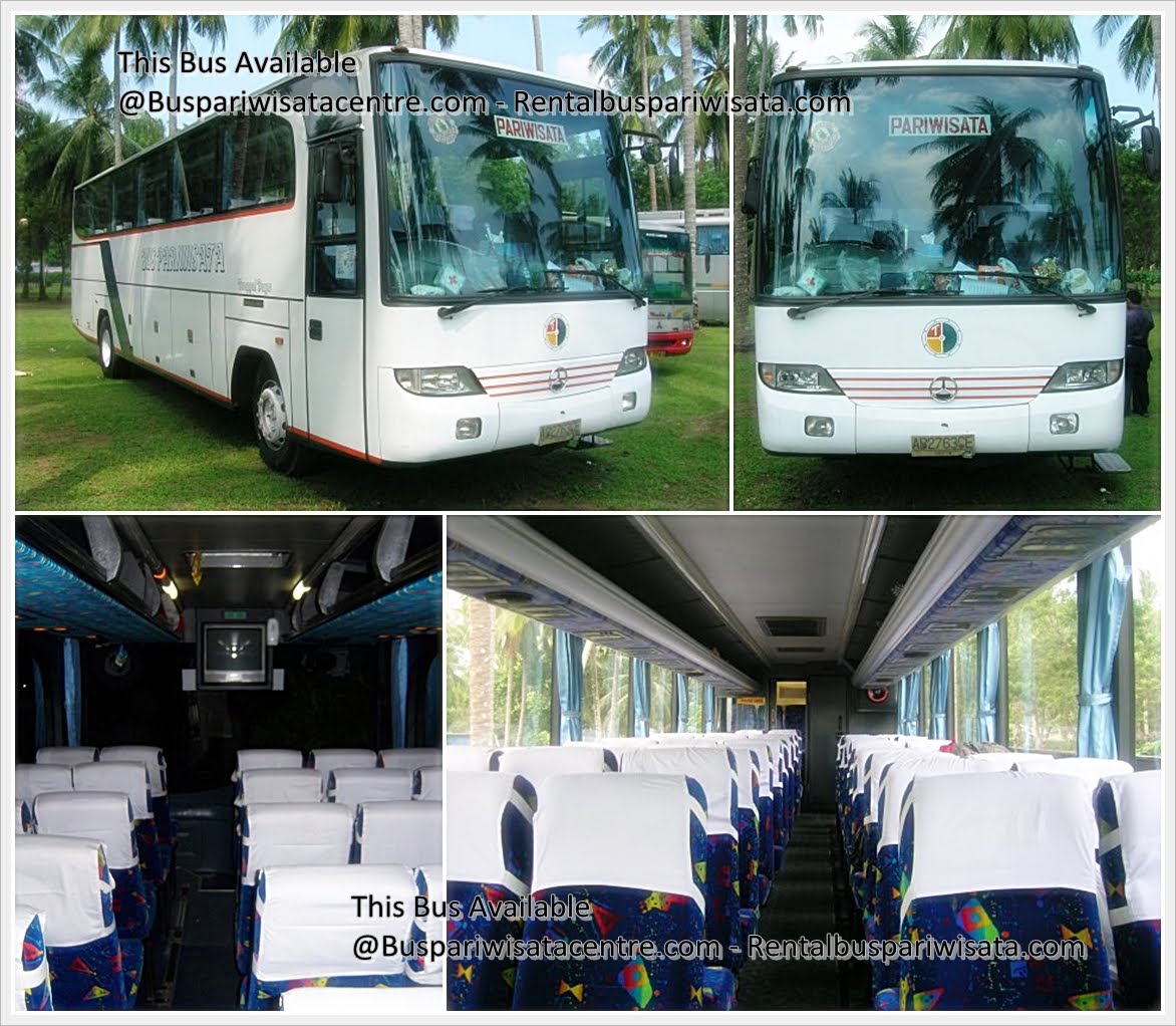 Daya: Mengurai Pesona dan Potensi Pariwisata Bus di Indonesia