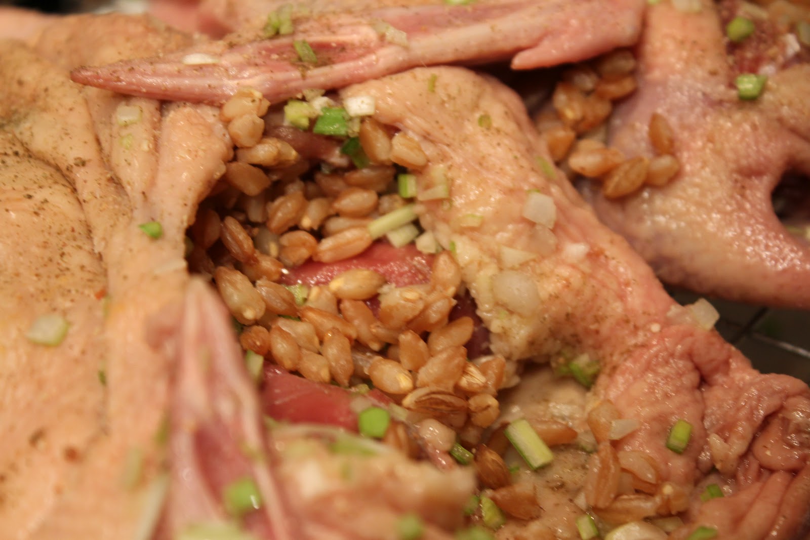 Mary's Food Journal Squab You Never Know Until You Try It