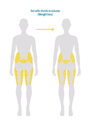 Can coffee reduce fat in the body image 3