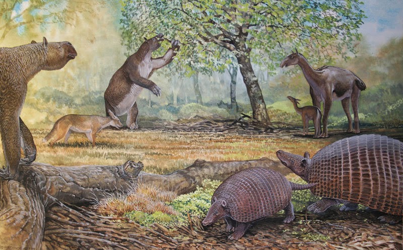 SouthAmerican-dry-forest_Pleistocene-PaleoArt-PeterSchouten_Biggest-Fiercest-Strangest.jpg