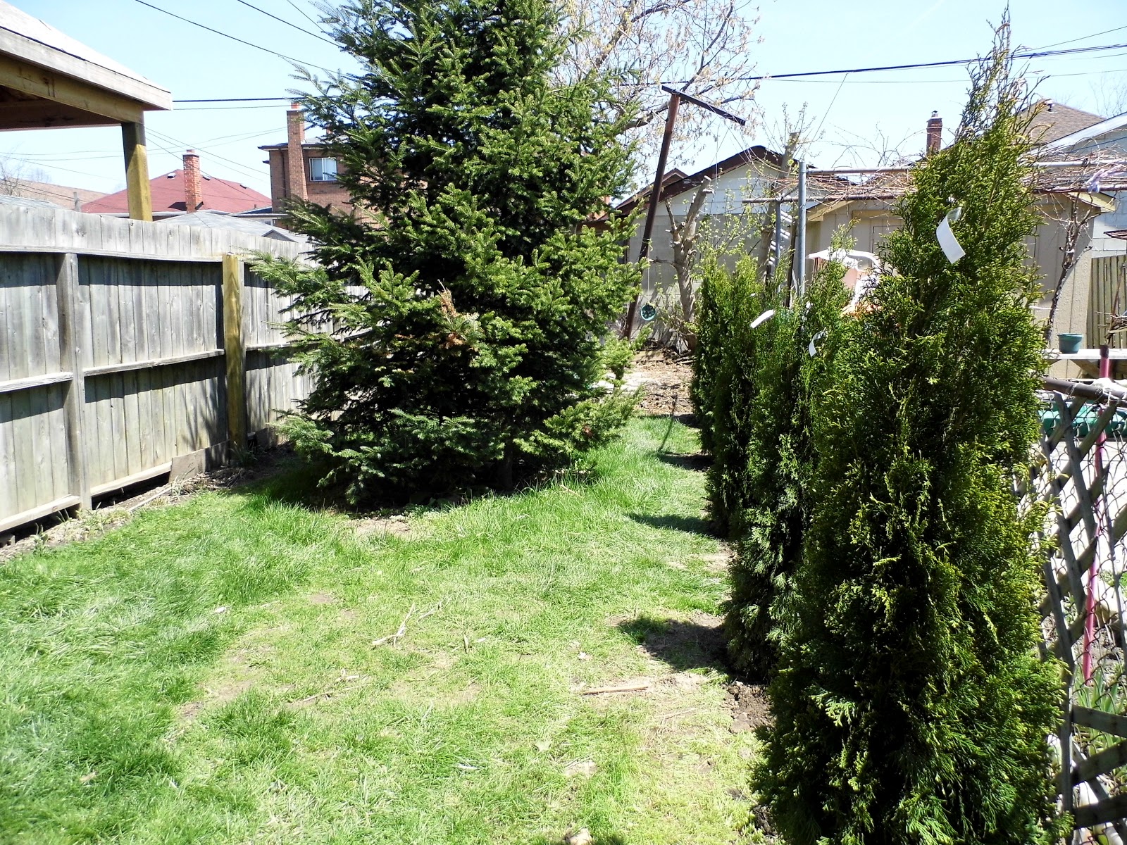 Fresh Coat of Paint If a tree grows in your yard and crosses the