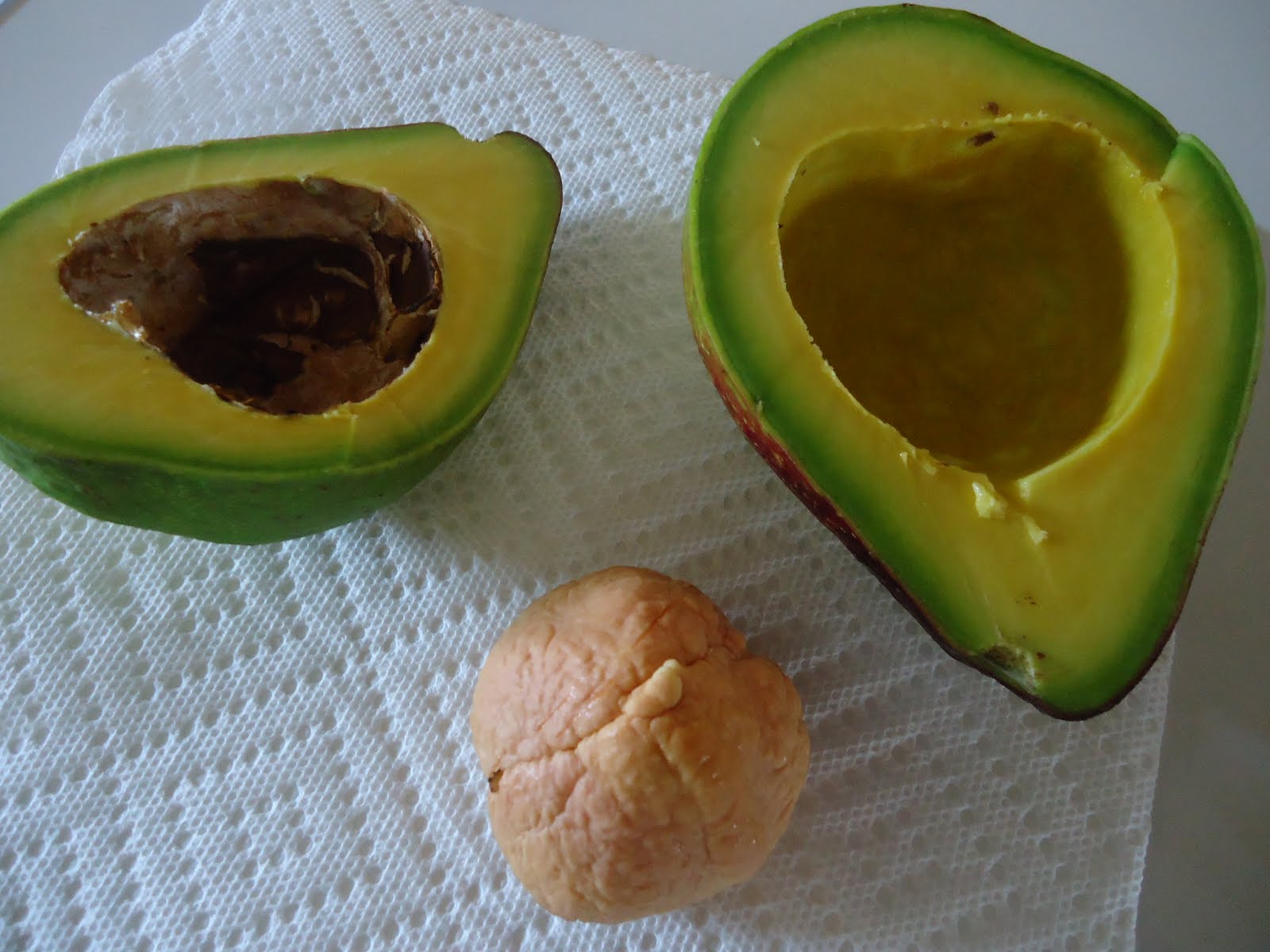 In and around Jamaica, W.I. Avocado season..