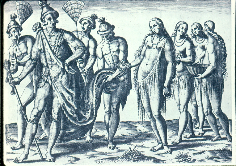 the timucua indians of northern florida essay Tocobaga indians of tampa bay where and how they lived the tocobaga indians lived in small villages at the northern end of tampa bay from 900 to the 1500s. the timucua indians of northern florida essay Tocobaga indians of tampa bay where and how they lived the tocobaga indians lived in small villages at the northern end of tampa bay from 900 to the 1500s.