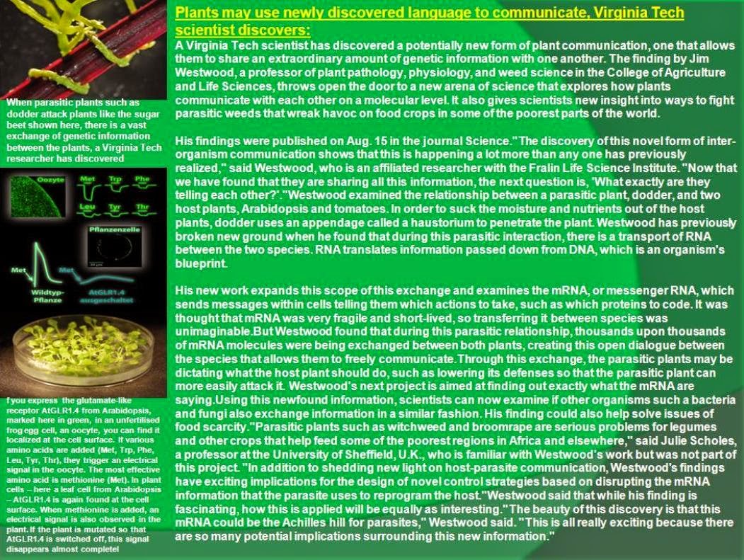 formation information communication