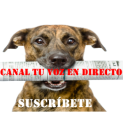 Canal Tu Voz en Directo (Youtube y Google +)