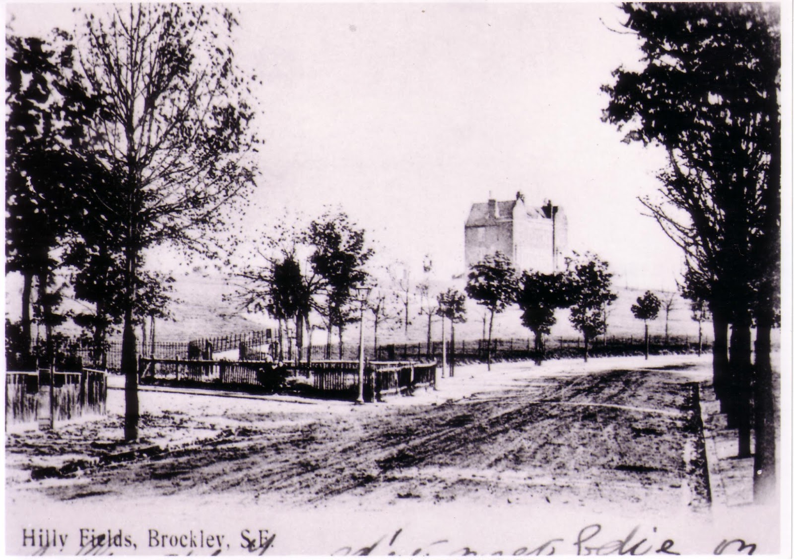 Brockley Central Hilly Fields A moo point The online home for all things Brockley, London SE4