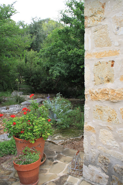 rock-oak-deer watersaver landscape