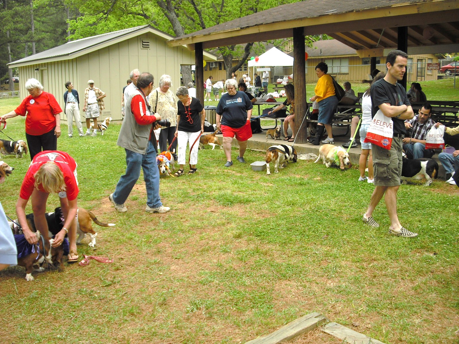 Basset Drool Basset Hound Rescue of Alabama Basset hound Bash 2011