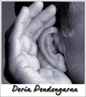 Deria pendengaran menggunakan organ telinga