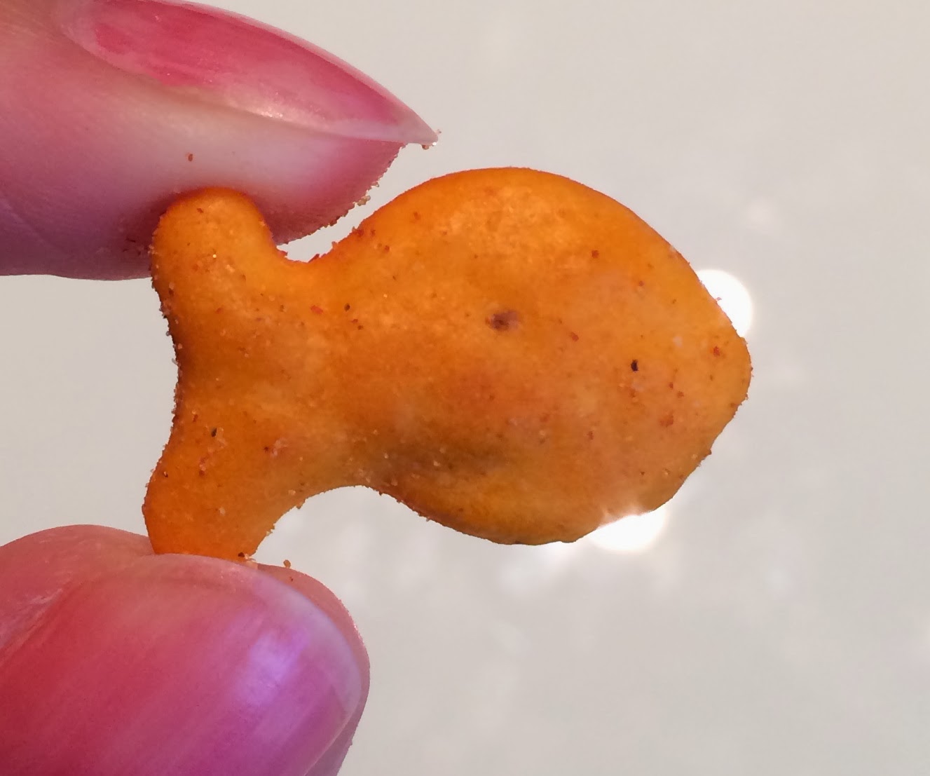 Goldfish Explosive Pizza / ゴールドフィッシュ エクスプローシブ ピザ I'm Made of Sugar