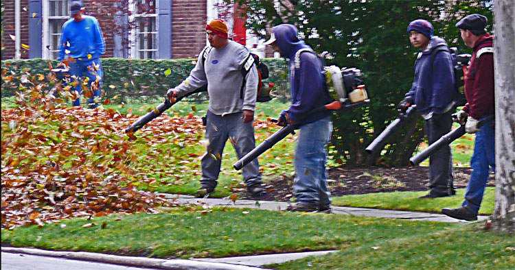 leaf-blowers-from-marsp1120.jpg