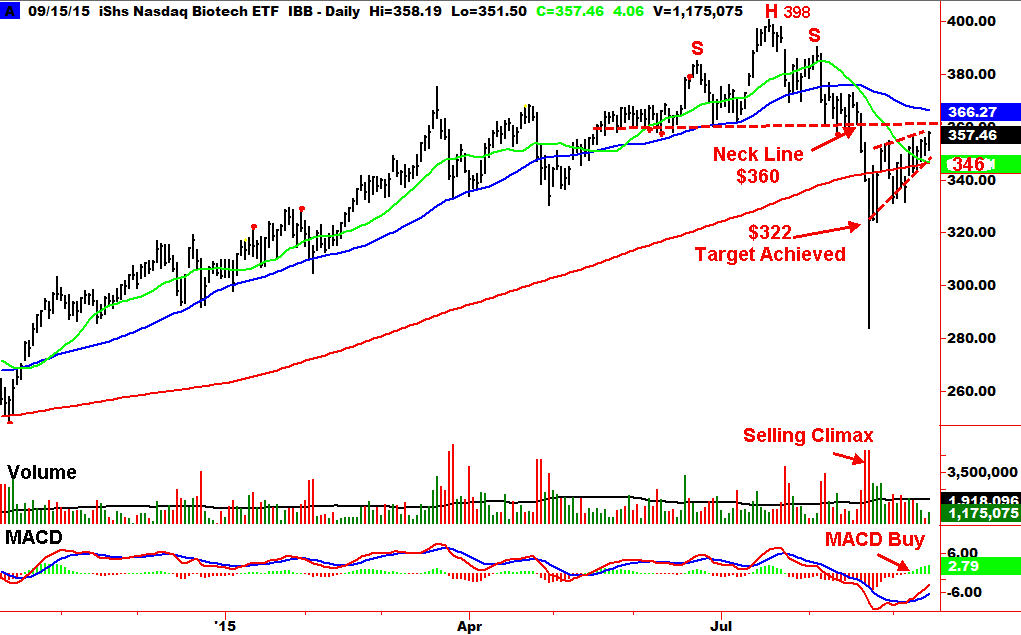 Ibb stock options