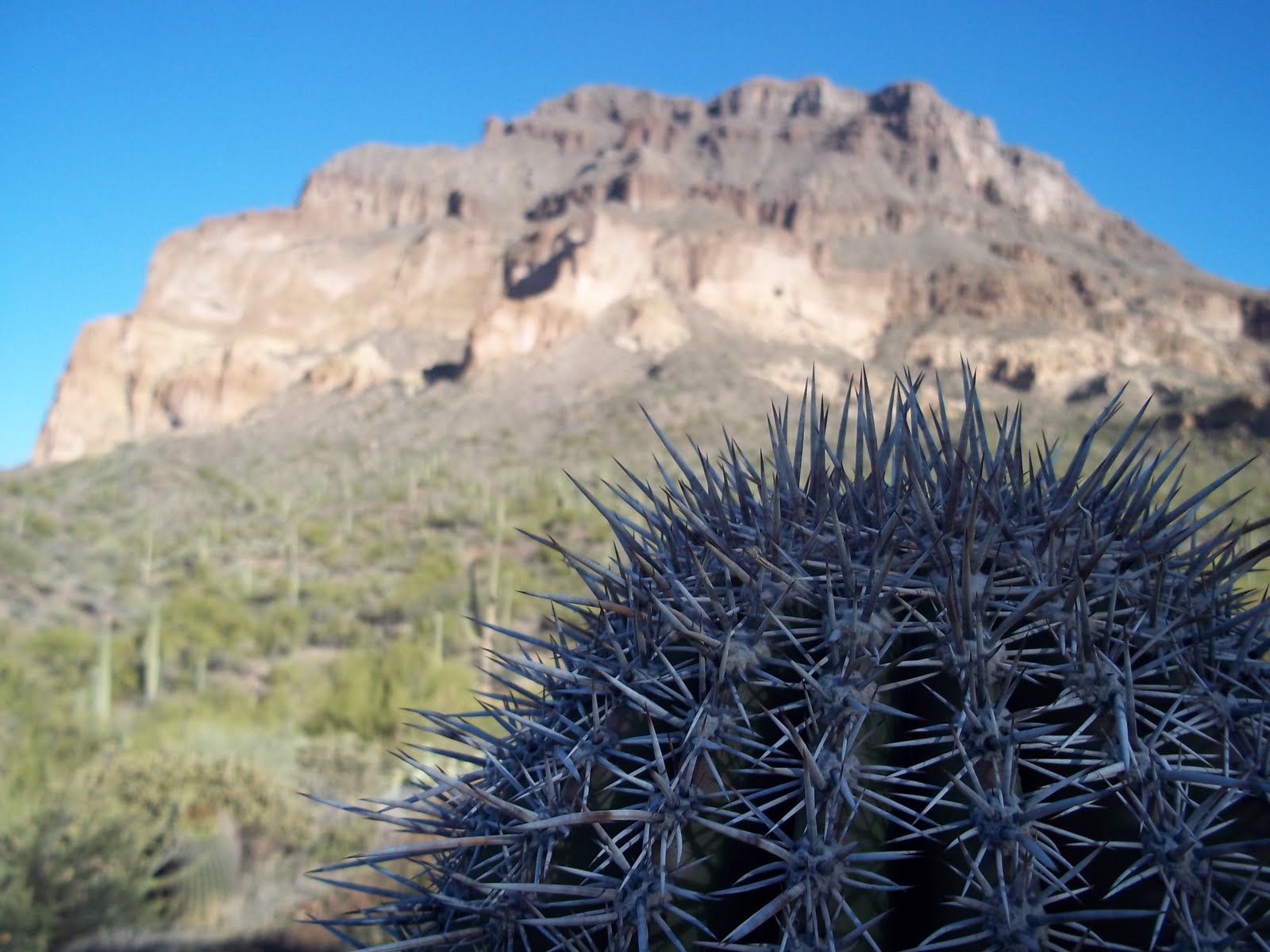 Spoke N Wheel Picket Post The End of an Endless Trail