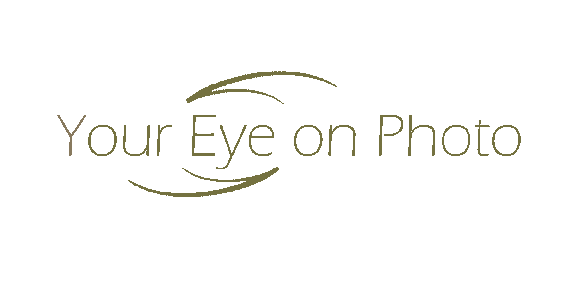 Your Eye and Company