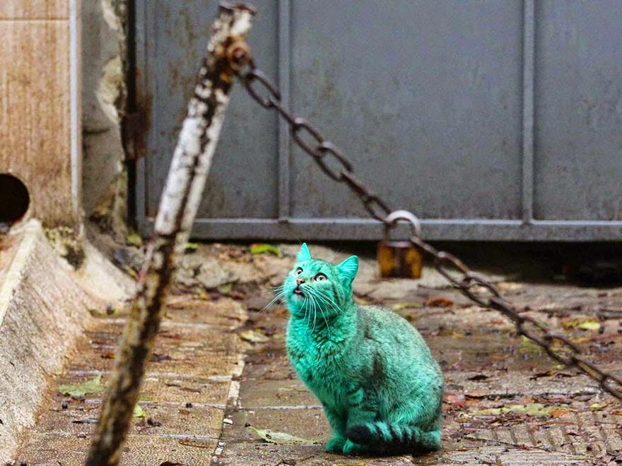 Cerita Pawer December 2014