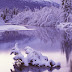 Free Winter Wallpaper