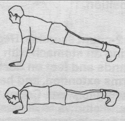 Cara Melakukan Latihan Push Up yang Benar - Taekwondo