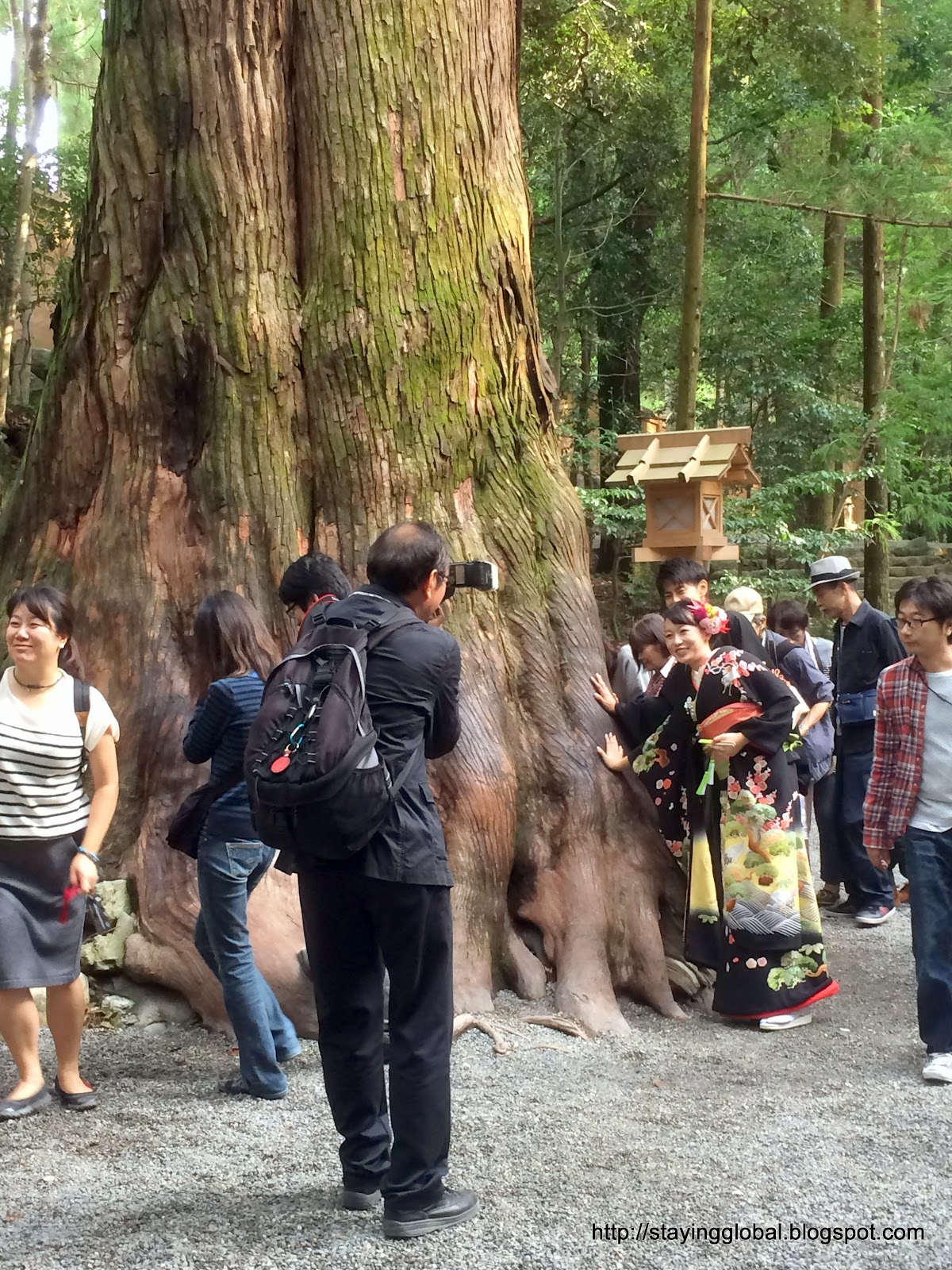 Every 20 Years, It'S Reborn: The Ise Shrine'S Incredible Tradition - hmaj21c