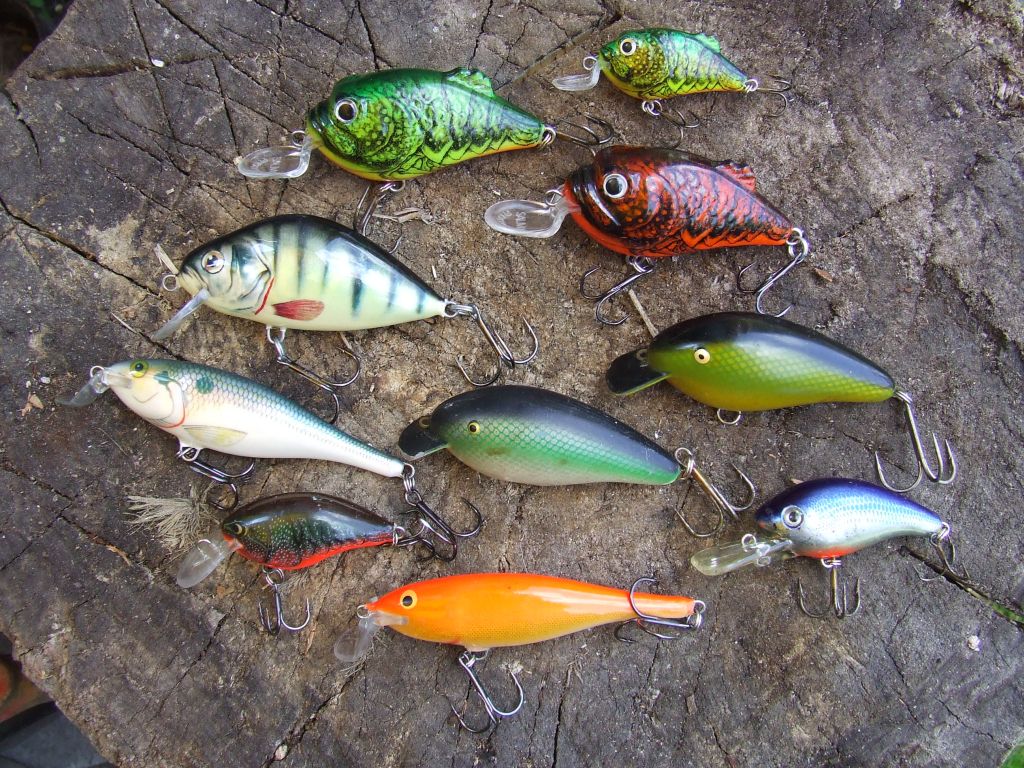 Fishing in Poland spinning, casting and flyfishing SPINNING FOR CATFISH!