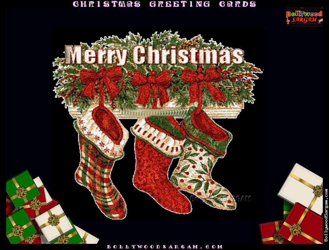free picture photography download portrait gallery christmas
