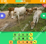1 Pic 3 Words Level 317 answers cheats, solutions, walkthrough for 1 pic 3 words level 317