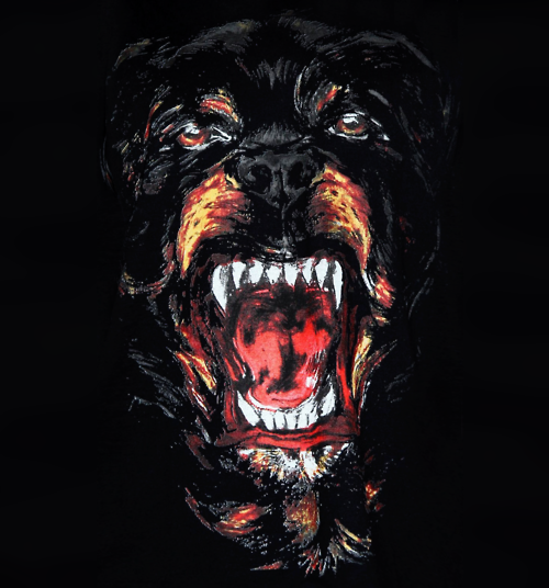 givenchy rottweiller keira meets chanel givenchy rottweiler shirt givenchy rottweiller keira meets chanel givenchy rottweiler shirt