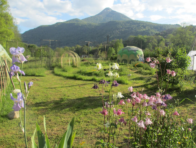 Terrain de 4000m2