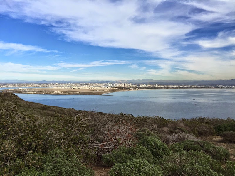 San Diego Bay as seen from Point Loma