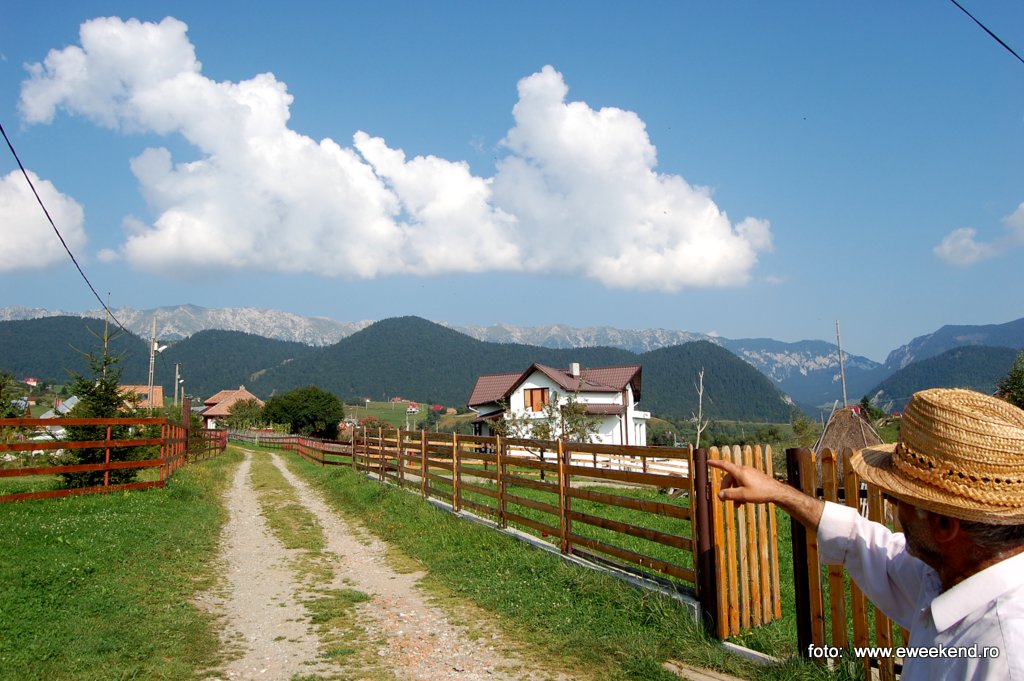  pestera    