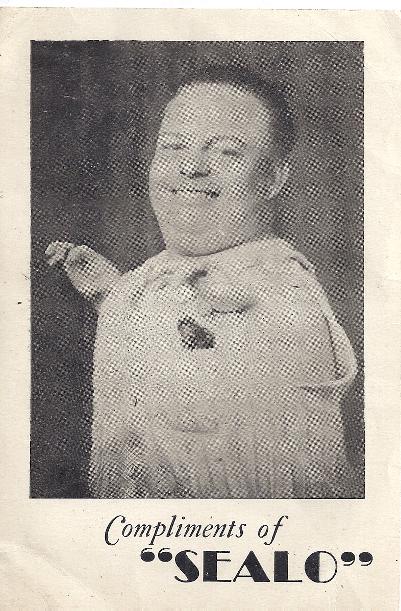 Casting the Past Characters in Blastorah Family History Sealo the