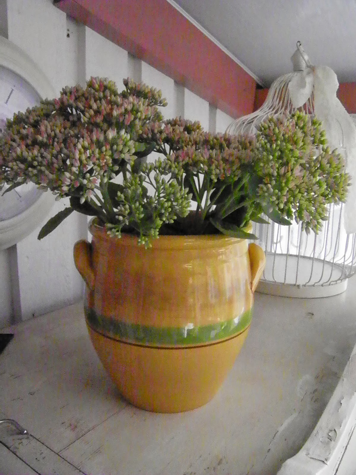 Vitt hus med rosa knutar: blommor i en gul kruka